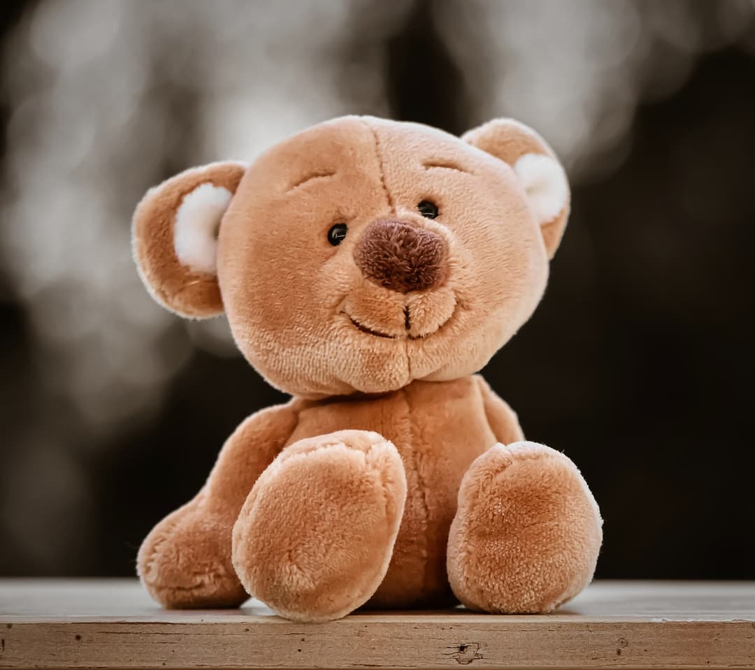 Brown Teddy Toy